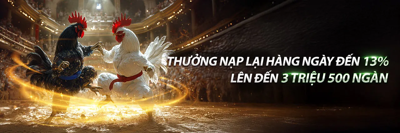 Đấu trường đá gà trực tuyến BJ27 sôi động năm 2026 tại Việt Nam